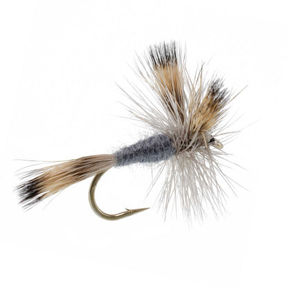 Gray Wulff Classic Trout Dry Fly - 6 Flies Hook Size 12
