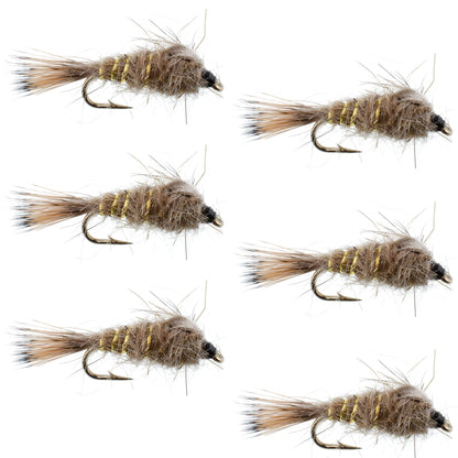 Classic Weighted Gold Ribbed Hares Ear Nymph - Set of 6 Flies - Size 12