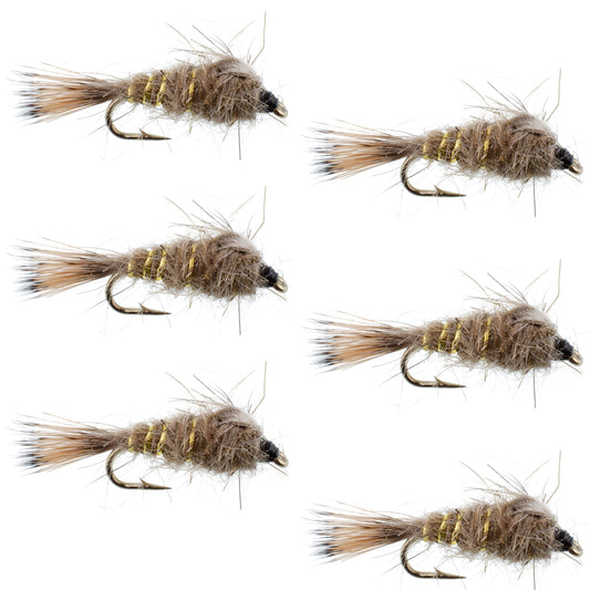 Classic Weighted Gold Ribbed Hares Ear Nymph - Set of 6 Flies - Size 12