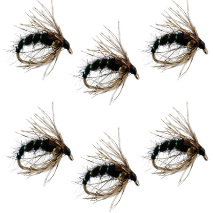 Black Holy Grail Caddis Pupa Emerger 6 Flies Hook Size 12