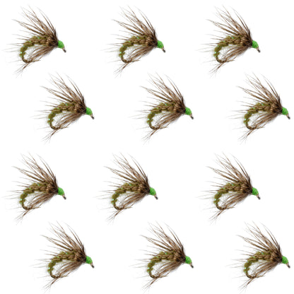 Olive Holy Grail Caddis Pupa Emerger 12 Flies Hook Size 14