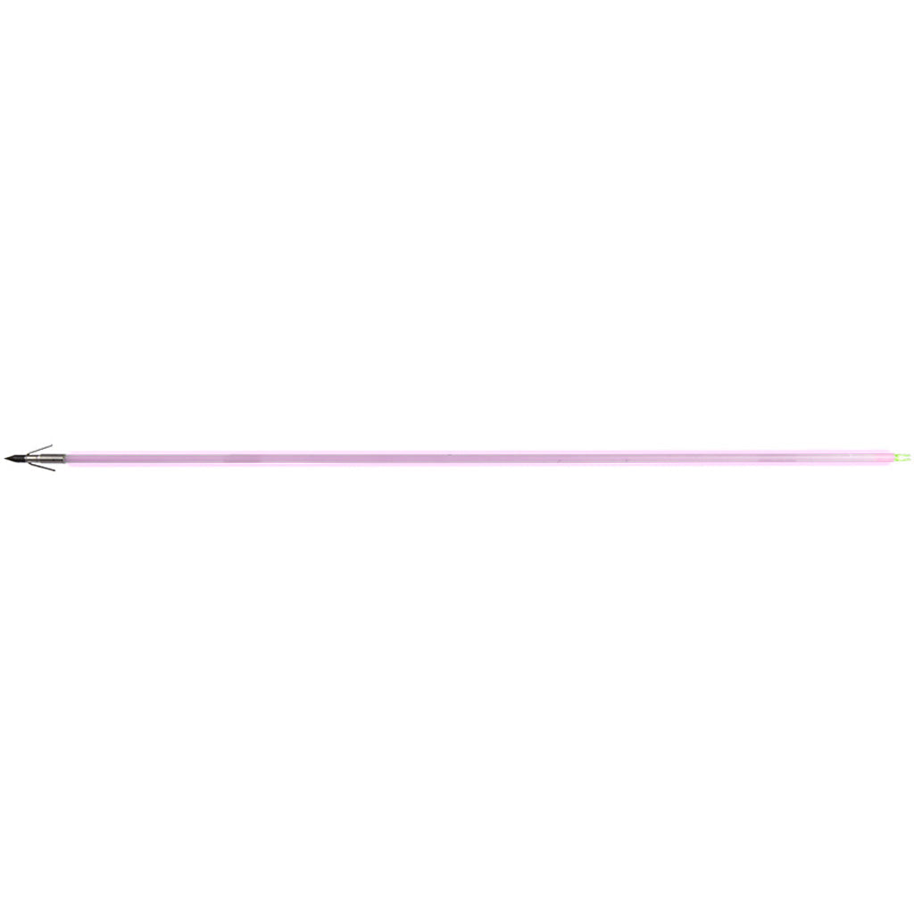 Muzzy Saber Fish Arrow Gar Point