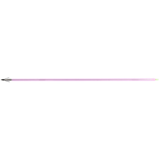 Muzzy Saber Fish Arrow Gar Point