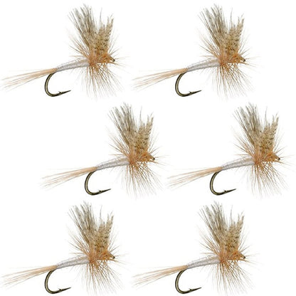 Light Cahill Classic Trout Dry Fly Fishing Flies - 6 Flies Size 20