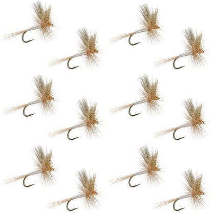 Light Cahill Classic Trout Dry Fly Fishing Fly - 1 Dozen Flies Size 20