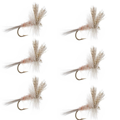 Light Hendrickson Classic Dry Fly - 6 Flies Size 14