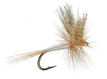 3 Pack Light Cahill Classic Trout Dry Fly Fishing Fly - Hook Size 18