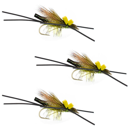 3 Pack Long Tail Skwala Stone - Squalla Stonefly Dry Fly - Hook Size 10
