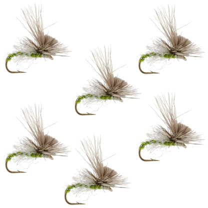 Green Drake Missing Link Mayfly Flies Hook 6 Flies Size 10