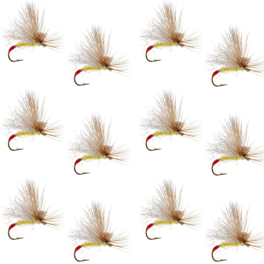 Yellow Sally Missing Link Stonefly -12 Flies Hook Size 14