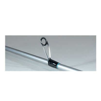 OL' Salty Spinning Rod