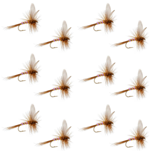 Pink Lady Classic Dry Fly - 12 Flies Size 18