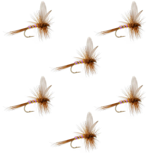 Pink Lady Classic Dry Fly - 6 Flies Size 18