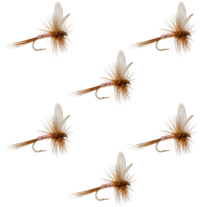 Pink Lady Classic Dry Fly - 6 Flies Size 16