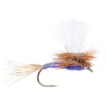 3 Pack Parachute Purple Haze Dry Fly - Size 12