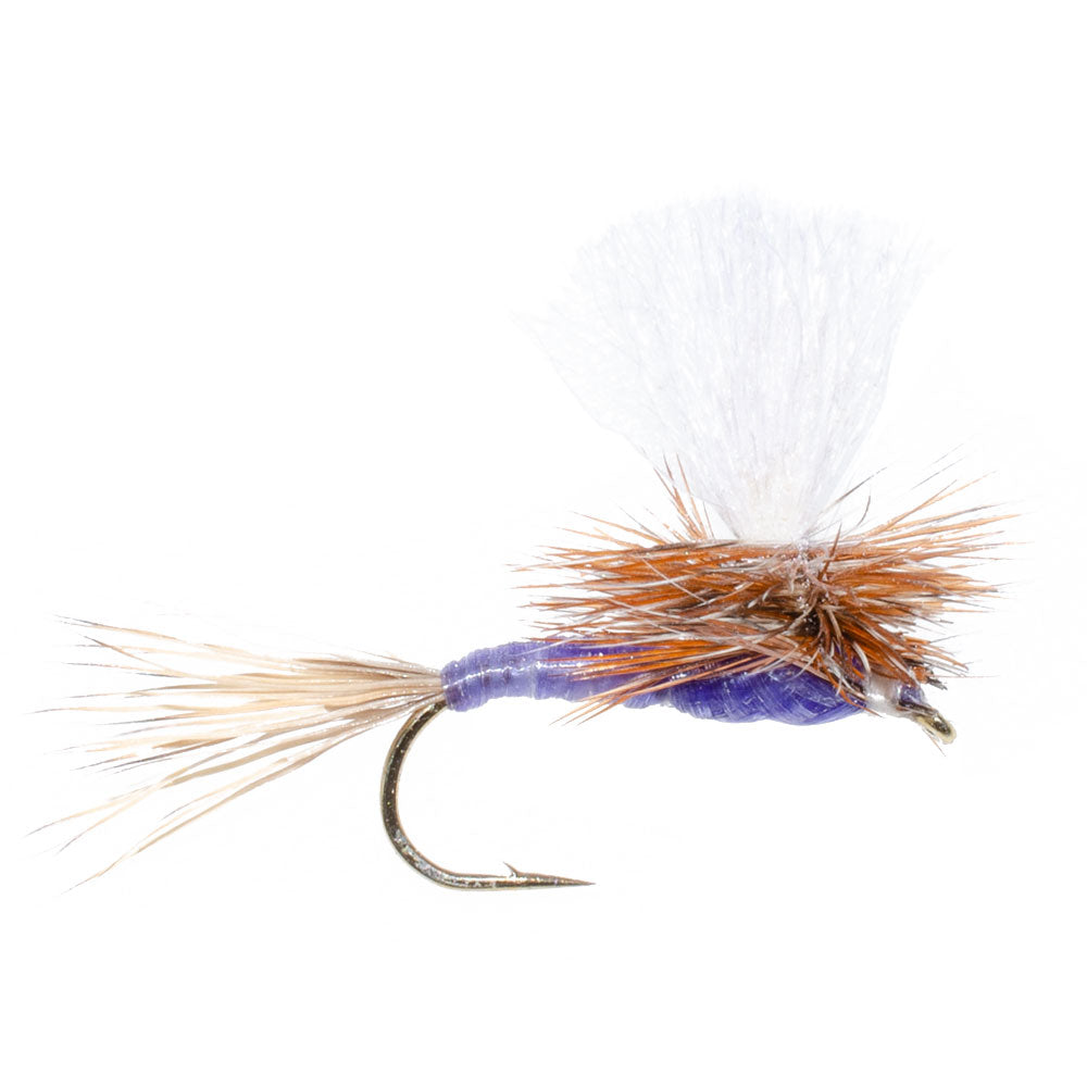 3 Pack Parachute Purple Haze Dry Fly - Size 20