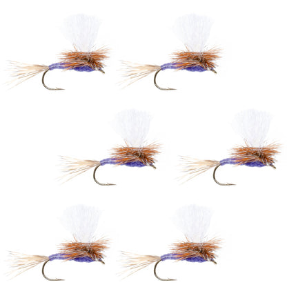 Parachute Purple Haze Dry Fly - 6 Flies Size 20