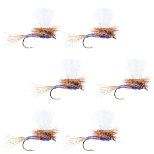Parachute Purple Haze Dry Fly - 6 Flies Size 18