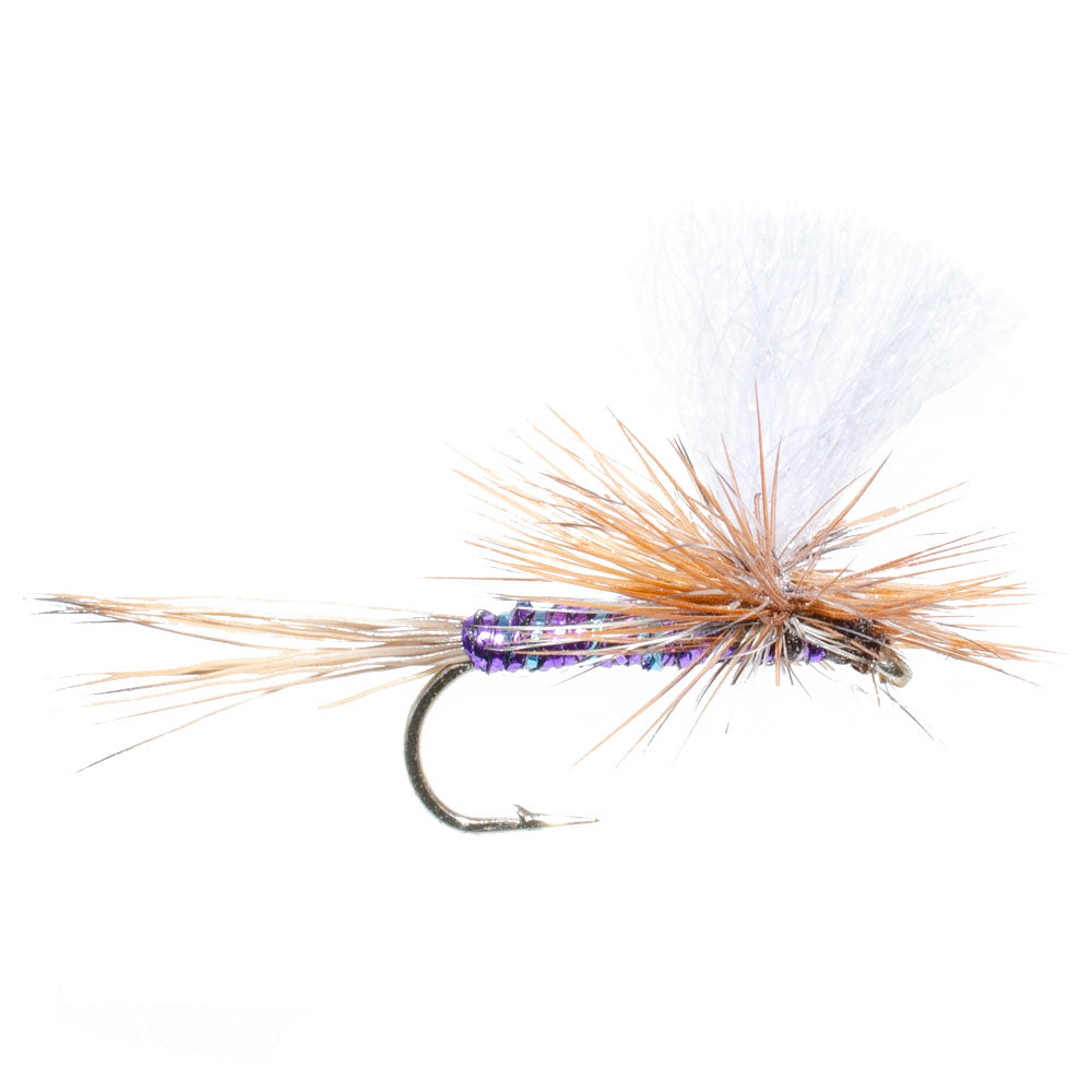 3 Pack Parachute Super Flash Purple Haze Dry Fly - Size 14