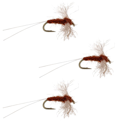 3 Pack Poly Wing Rusty Spinner Mayfly Flies Hook Size 22