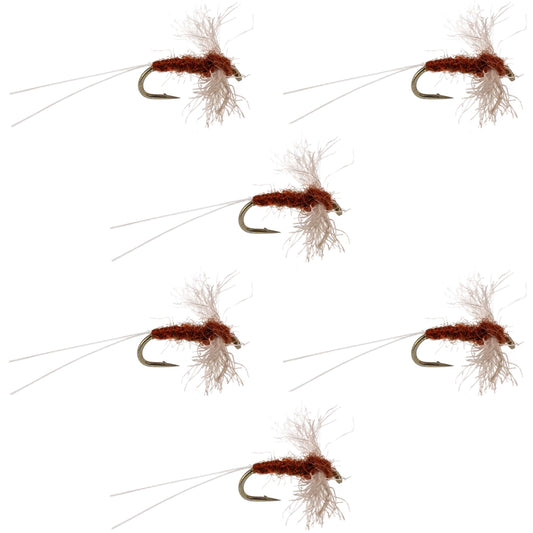 Poly Wing Rusty Spinner Mayfly 6 Flies Hook Size 20