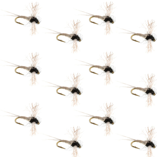 Z-Lon Wing Trico Spinner Kapok Body Hook 12 Flies Size 24