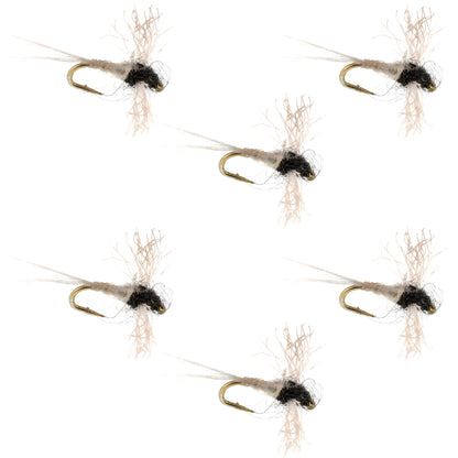 Z-Lon Wing Trico Spinner Kapok Body Hook 6 Flies Size 20