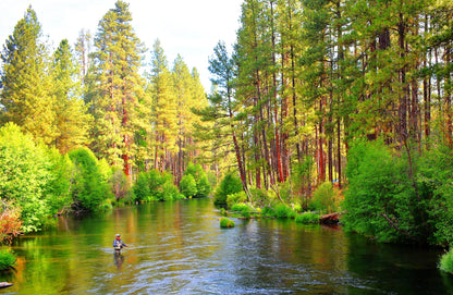 H & L Variant Classic Dry Fly - 6 Flies Hook Size 14