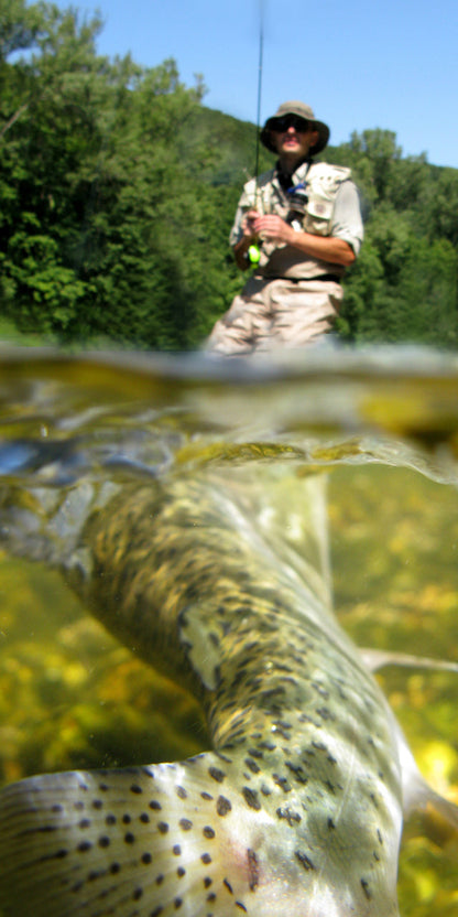 Deer Hair Diver 6 Flies Hook Size 4 - Swimming Frog Bass Fly Fishing Bug Wide Gape Bass Hooks With Weed Guard