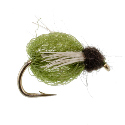 LaFontaine Olive Deep Sparkle Caddis Pupa - 6 Flies Hook Size 18