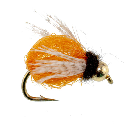 Bead Head LaFontaine Amber Deep Sparkle Caddis Pupa - 6 Flies Hook Size 18