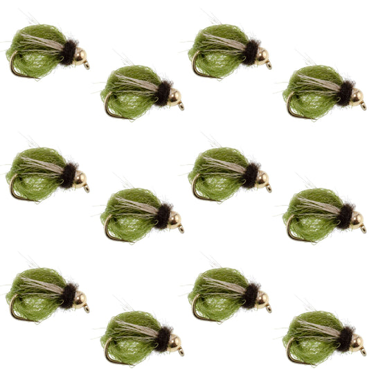 Bead Head LaFontaine Olive Deep Sparkle Caddis Pupa - 12 Flies Size 18