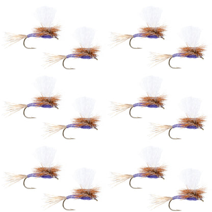 Parachute Purple Haze Dry Fly - 12 Flies Size 12