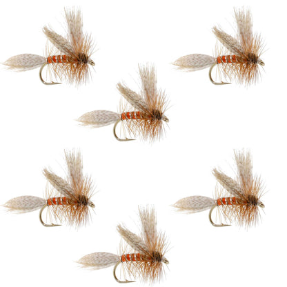 Queen Of The Waters Classic Dry Fly - 6 Flies Size 14