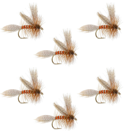 Queen Of The Waters Classic Dry Fly - 6 Flies Size 14