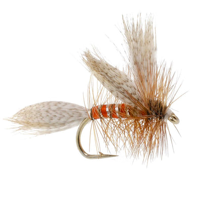 Queen Of The Waters Classic Dry Fly - 6 Flies Size 12