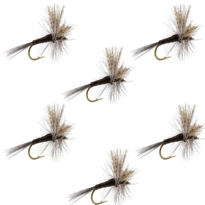 Quill Gordon Classic Dry Fly - 6 Flies Size 18