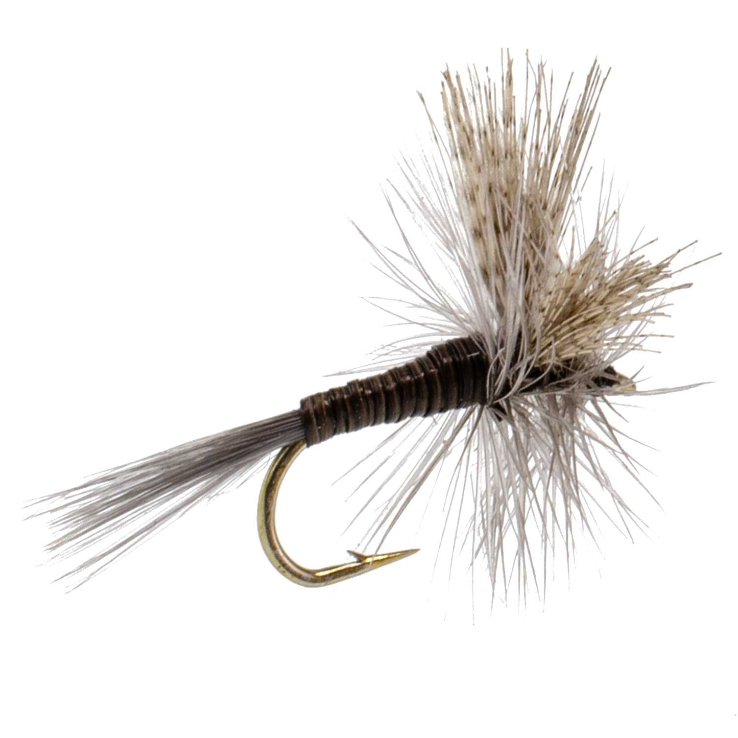 Quill Gordon Classic Dry Fly - 6 Flies Size 18