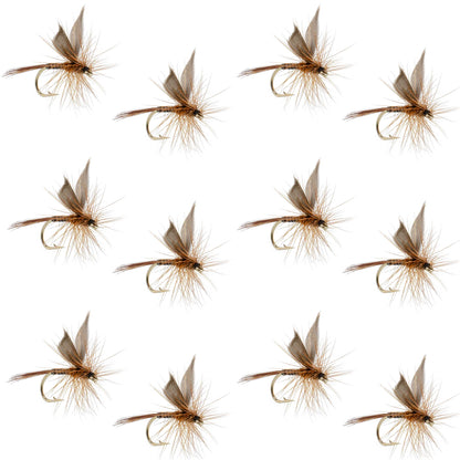 Red Quill Classic Dry Fly - 12 Flies Size 12