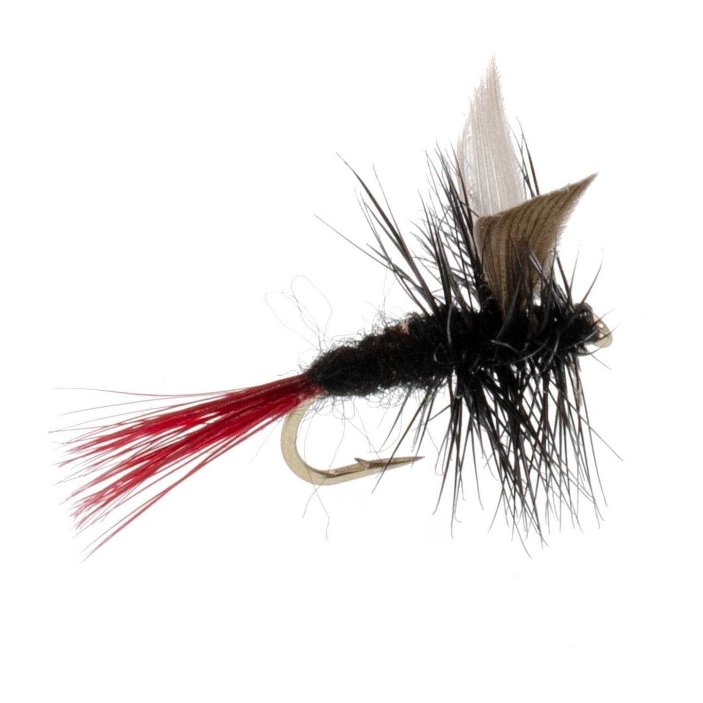 Red-Tailed Black Gnat Classic Dry Fly - 6 Flies Size 18