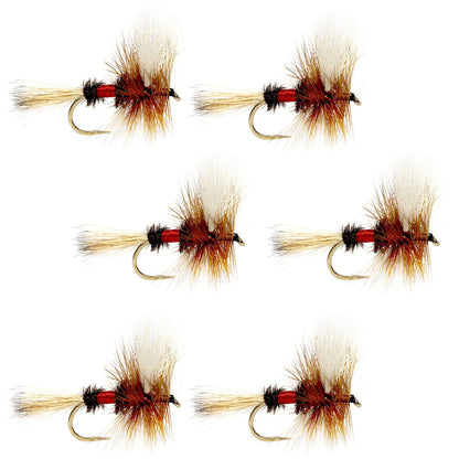 Barbless Royal Wulff Classic Hair Wing Dry Fly - 6 Flies Hook Size 8
