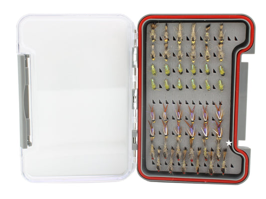 Nymph Fly Assortment, 48 Flies | Low Profile Fly Box | Wild Water Fly Fishing