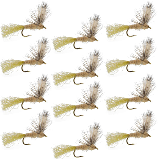 Sparkle Dun Callibaetis Mayfly - 12 Flies Hook size 16
