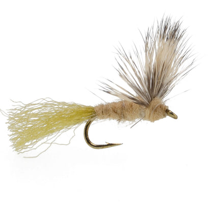 Sparkle Dun Callibaetis Mayfly - 12 Flies Hook size 16