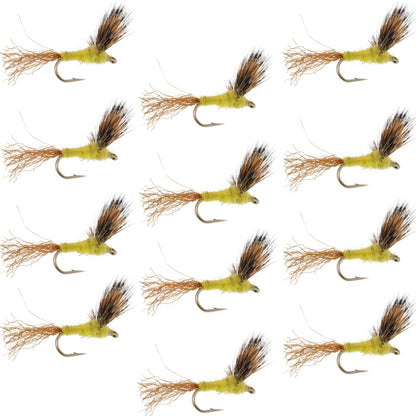 Sparkle Dun Pale Morning Dun PMD Yellow Body Mayfly 12 Flies Hook size 16