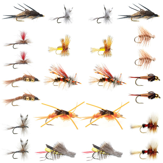 Trout Fly Assortment - Essential Western Dry and Nymph Fly Fishing Flies Collection - 2 Dozen Trout Flies with Fly Box