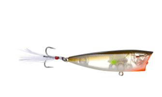 Ark Topwater Popper