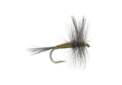 Basics Collection - Classic Dry Fly Assortment - 10 Dry Fishing Flies - 5 Patterns - Hook Sizes 12, 14, 16