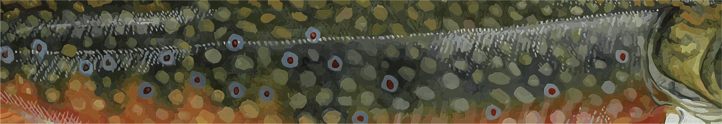 2024 Catch Cam Net Handles