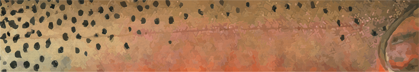 2024 Catch Cam Net Handles